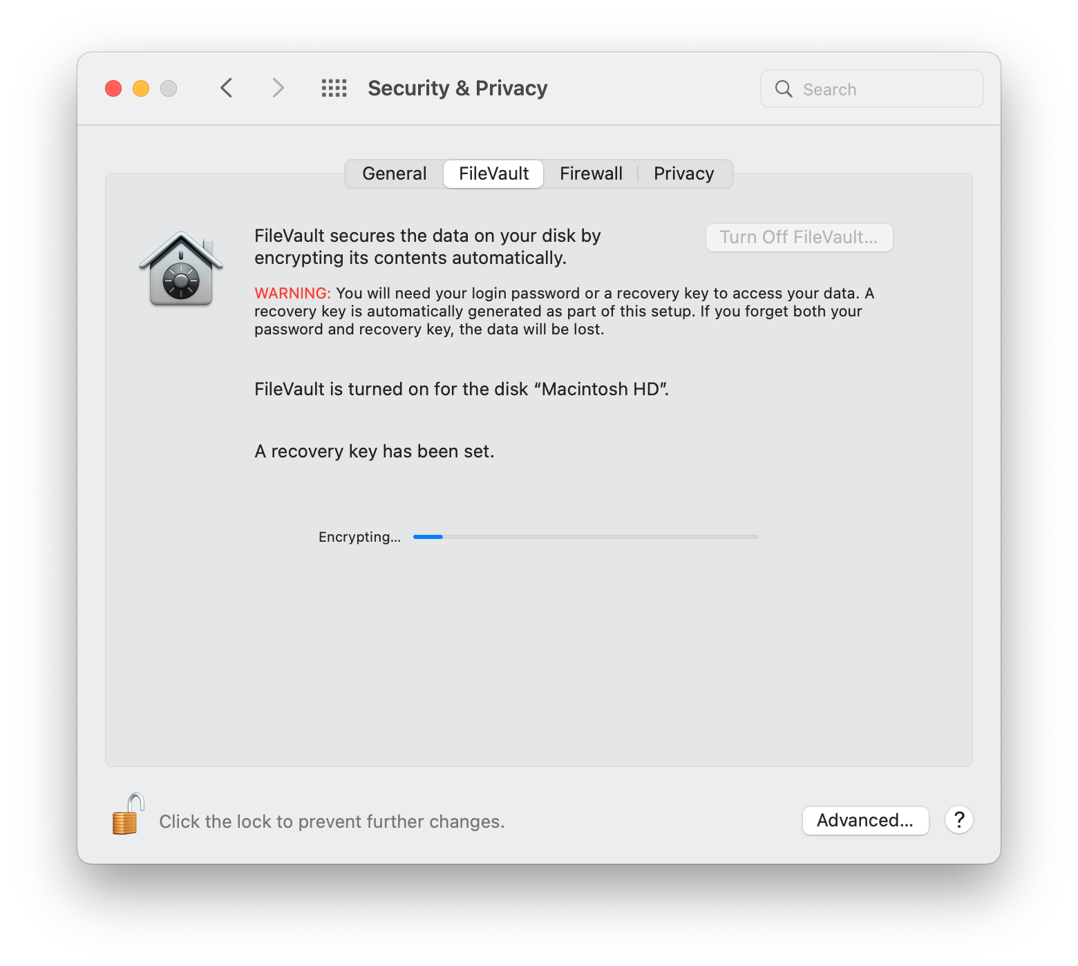 Step 3. Wait for FileVault to encrypt your files.