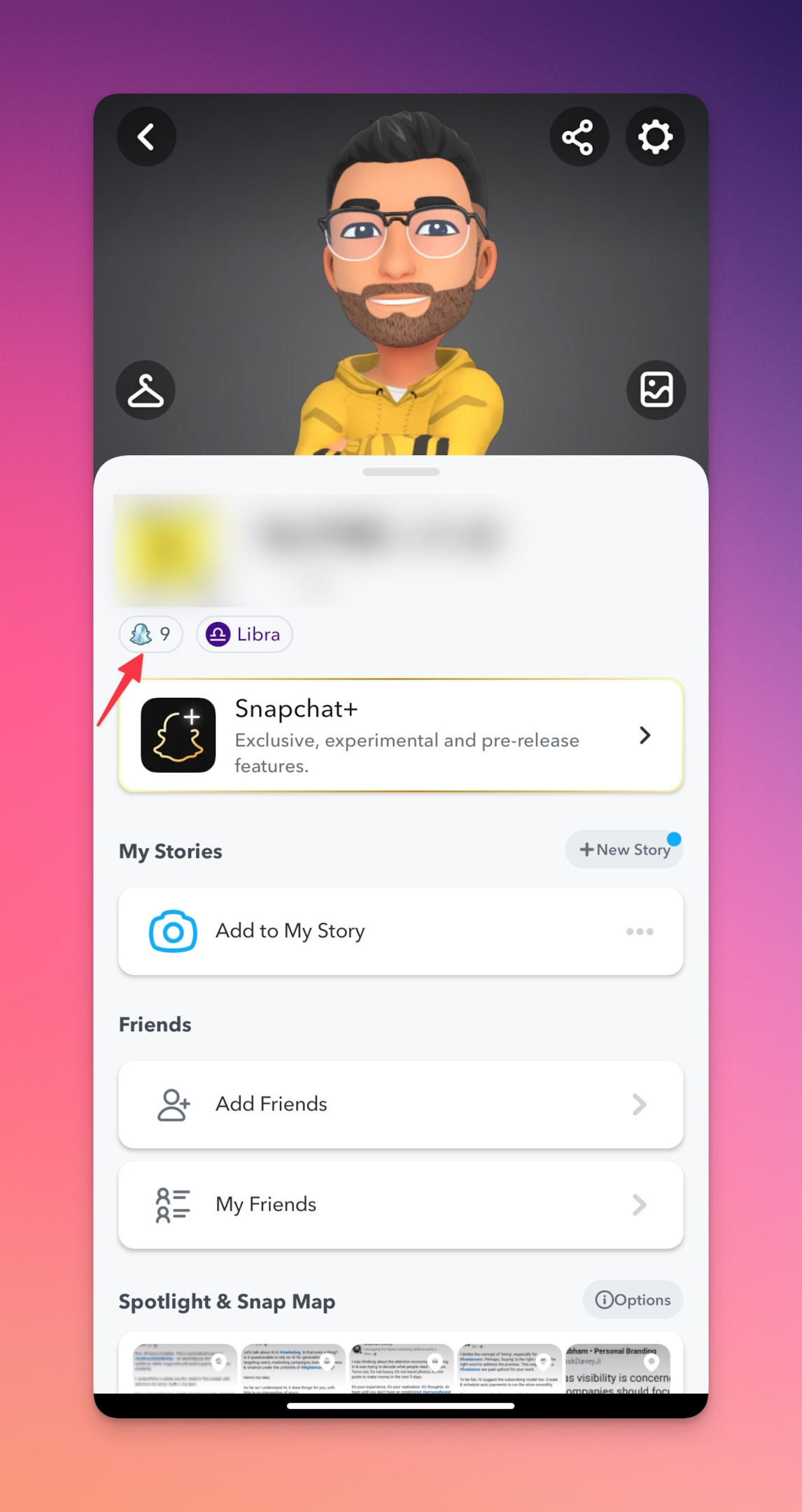 Snapchat Score Under Profile