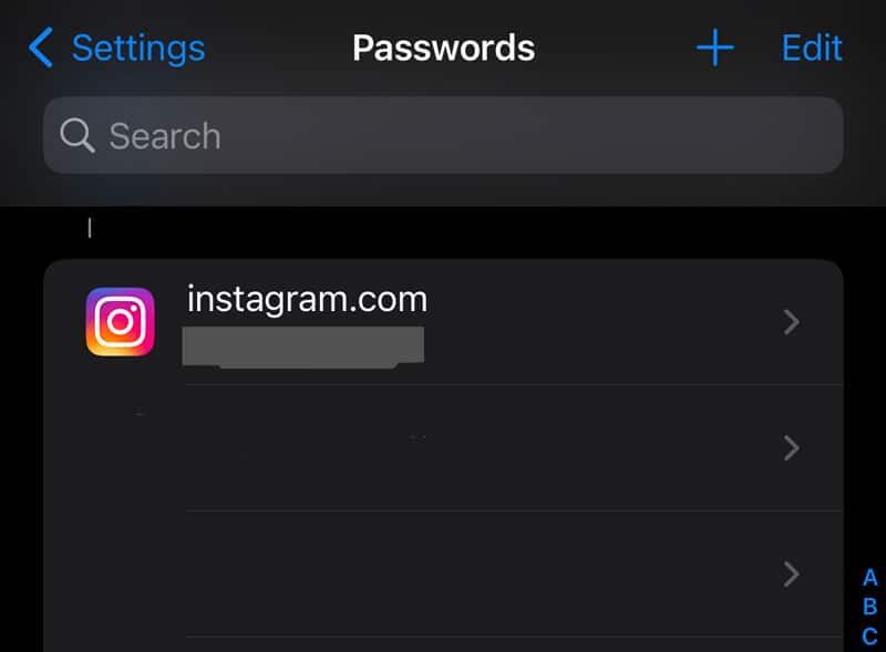 Instagram Password in Settings