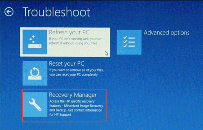 troubleshoot recovery manager