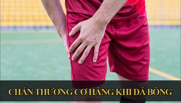 cách chữa chấn thương cơ háng khi đá bóng