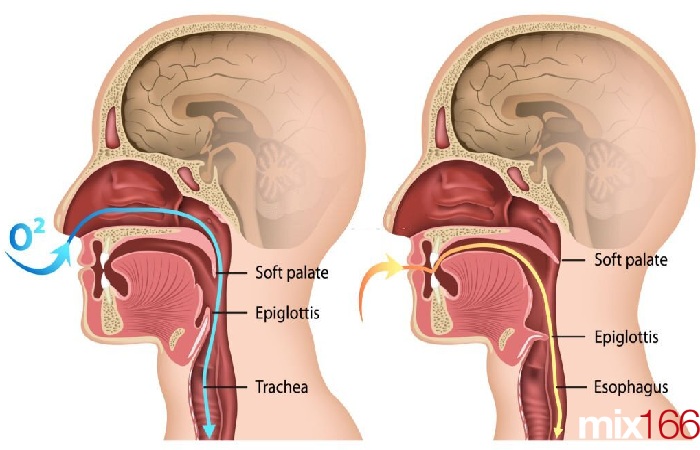 cách thở khi đá bóng